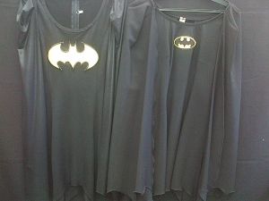 Adult Female Costumes to Hire - Batlady dress